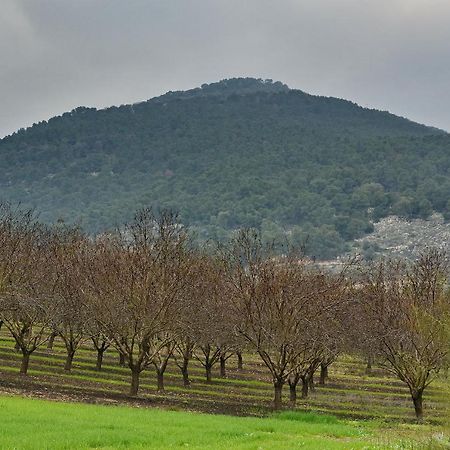 Pearl Of The Valley Hotel Kfar Tavor Dış mekan fotoğraf