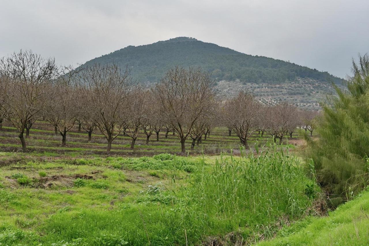 Pearl Of The Valley Hotel Kfar Tavor Dış mekan fotoğraf